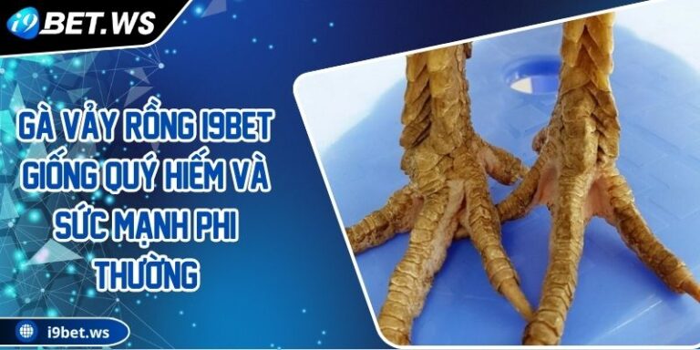 Gà Vảy Rồng I9BET Giống Quý Hiếm Và Sức Mạnh Phi Thường