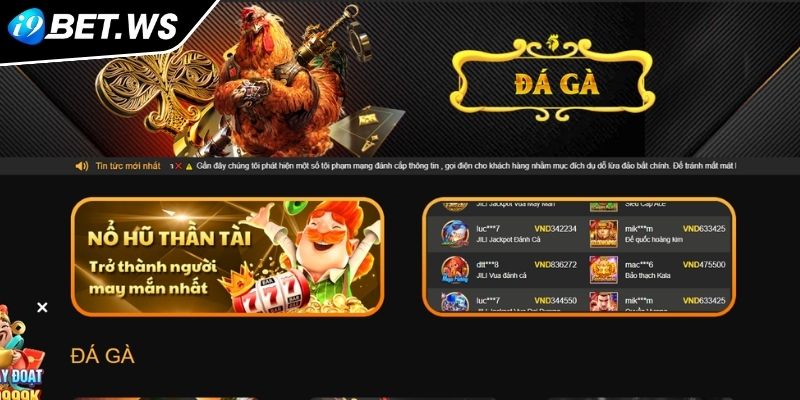 Giới thiệu đôi nét về đá gà WS168 I9BET